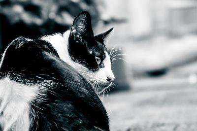 rps20180718_100608_520