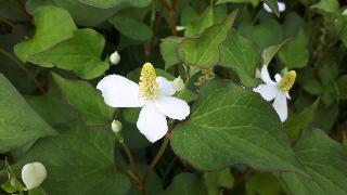 rps20200607_173831_203