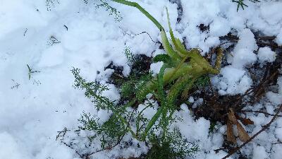 rps20180128_150252_066
