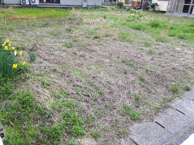 rps20190421_162002