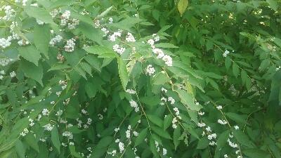 rps20171018_164430_487