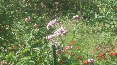 rps20171017_225009_978