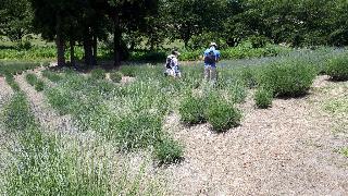 rps20200624_142030_511