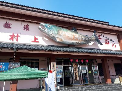 rps20190414_160040_573