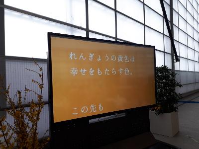 rps20190406_154819_552