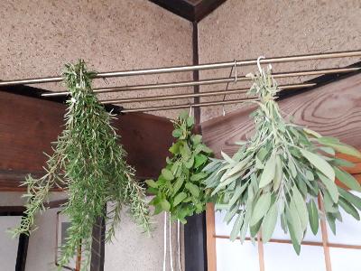 rps20191016_165351_964
