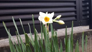 rps20200201_211304_120