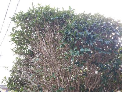 rps20191017_154052_859
