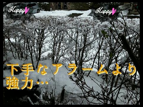 rps20160201_224805_804