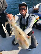 2EA0EFA7-C090-4772-805C-913DB993FB46