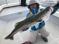 C857C55C-E523-4A13-9962-0CA429290186