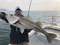 4F510E76-6F70-4453-847C-01CCA9F5B9E3