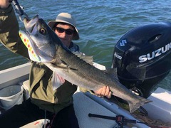 BDF1CD03-791A-4F59-843B-2A8FB9778D47