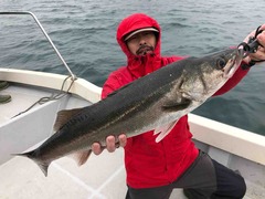 62F71781-209F-4869-BF5B-E22D708F83EE