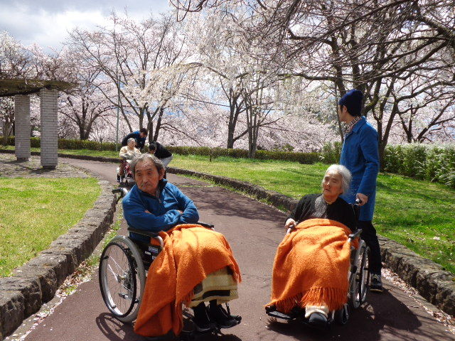 辰巳公園 昭和の森公園でのお花見 フランセーズ悠とみたけ Tomitake