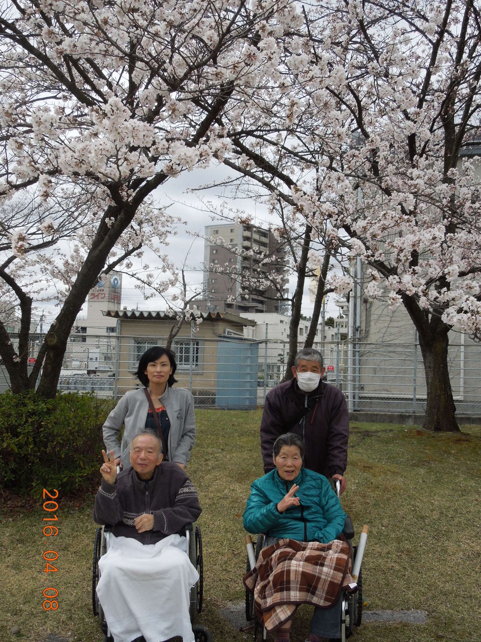 辰巳公園 昭和の森公園でのお花見 フランセーズ悠とみたけ Tomitake