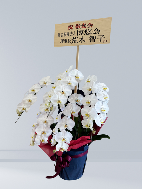 名称未設定のデザイン