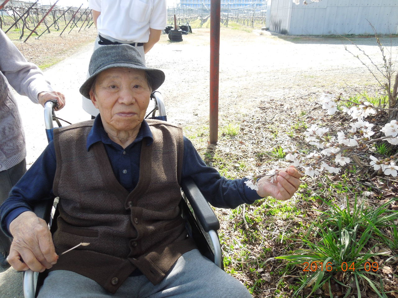 辰巳公園 昭和の森公園でのお花見 フランセーズ悠とみたけ Tomitake