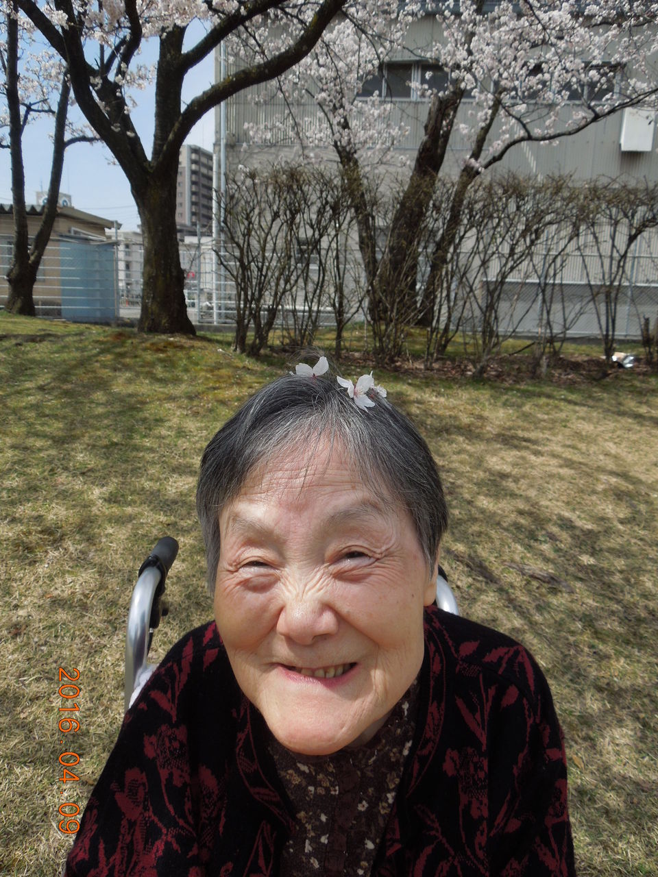 辰巳公園 昭和の森公園でのお花見 フランセーズ悠とみたけ Tomitake