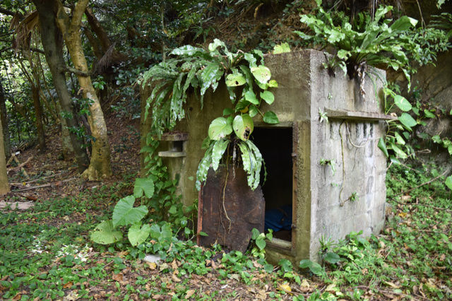 【怖い話】少し前まで精神障害者は座敷牢に閉じ込めてたんだよな。入院が私宅監置を上回ったのは1924(昭和4)年だった……【私宅監置】 | オカルト速報