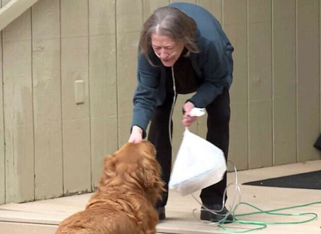 外出制限中で買い物に行けないおばあさんのために、おつかいをしてくれる隣の家の犬（アメリカ）