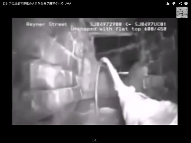 恐竜-1