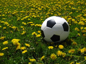 サッカー