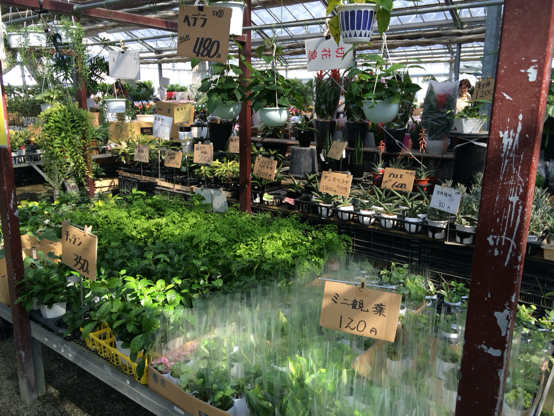 久山植木 The Day