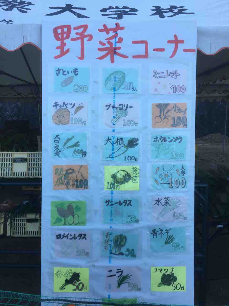 秋晴れの中 第35回愛媛県立農業大学校の収穫祭へ 挑戦 フルマラソンをあと何回完走することができるか