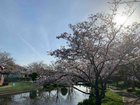 ひょこたん池公園