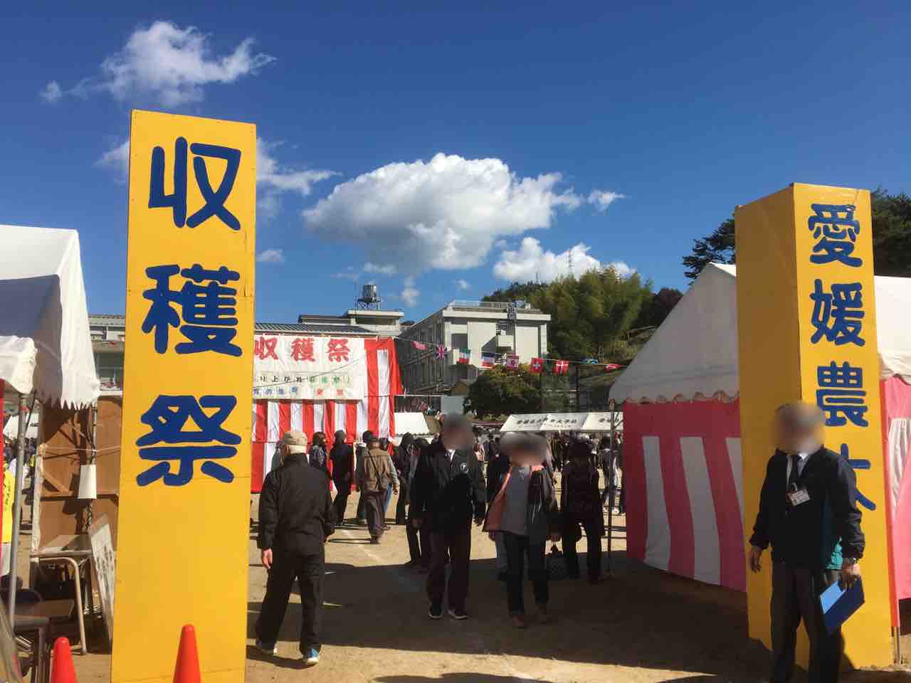 秋晴れの中 第35回愛媛県立農業大学校の収穫祭へ 挑戦 フルマラソンをあと何回完走することができるか