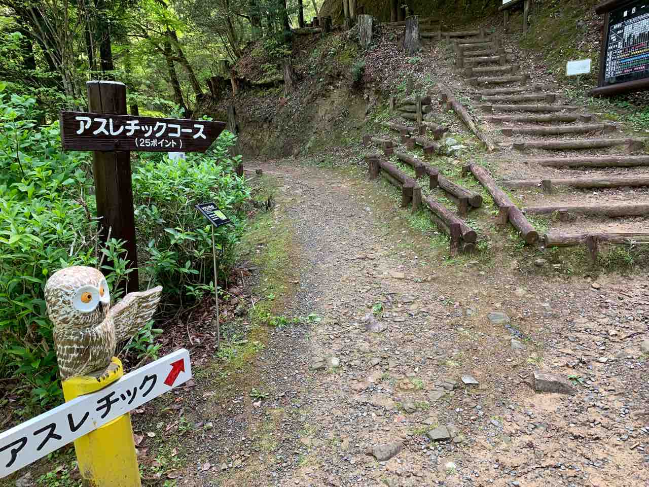 伊予市にある えひめ森林公園 で森林散策が楽しめる 眺望コース に挑戦 中予 愛媛 つーしん