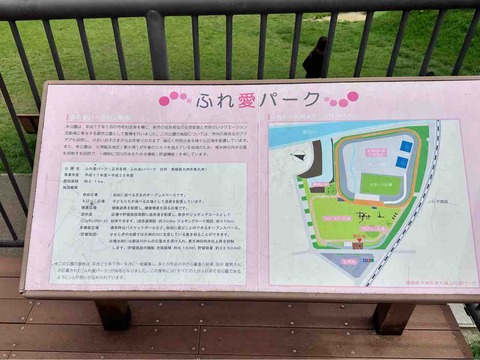 【公園巡り'26】大洲市の「ふれ愛パーク」へ！大型遊具・走る電車・広い芝生に大興奮