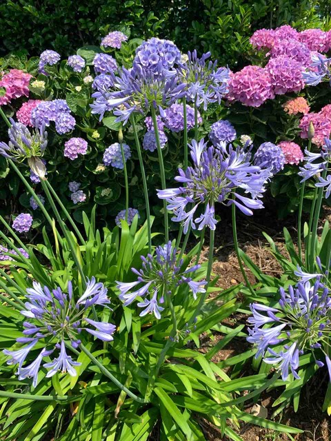 IMG_8093
