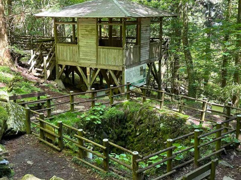【観光'24】緑と静寂のオアシス：愛媛県東温市にある「上林森林公園」と「風穴」の魅力‼️
