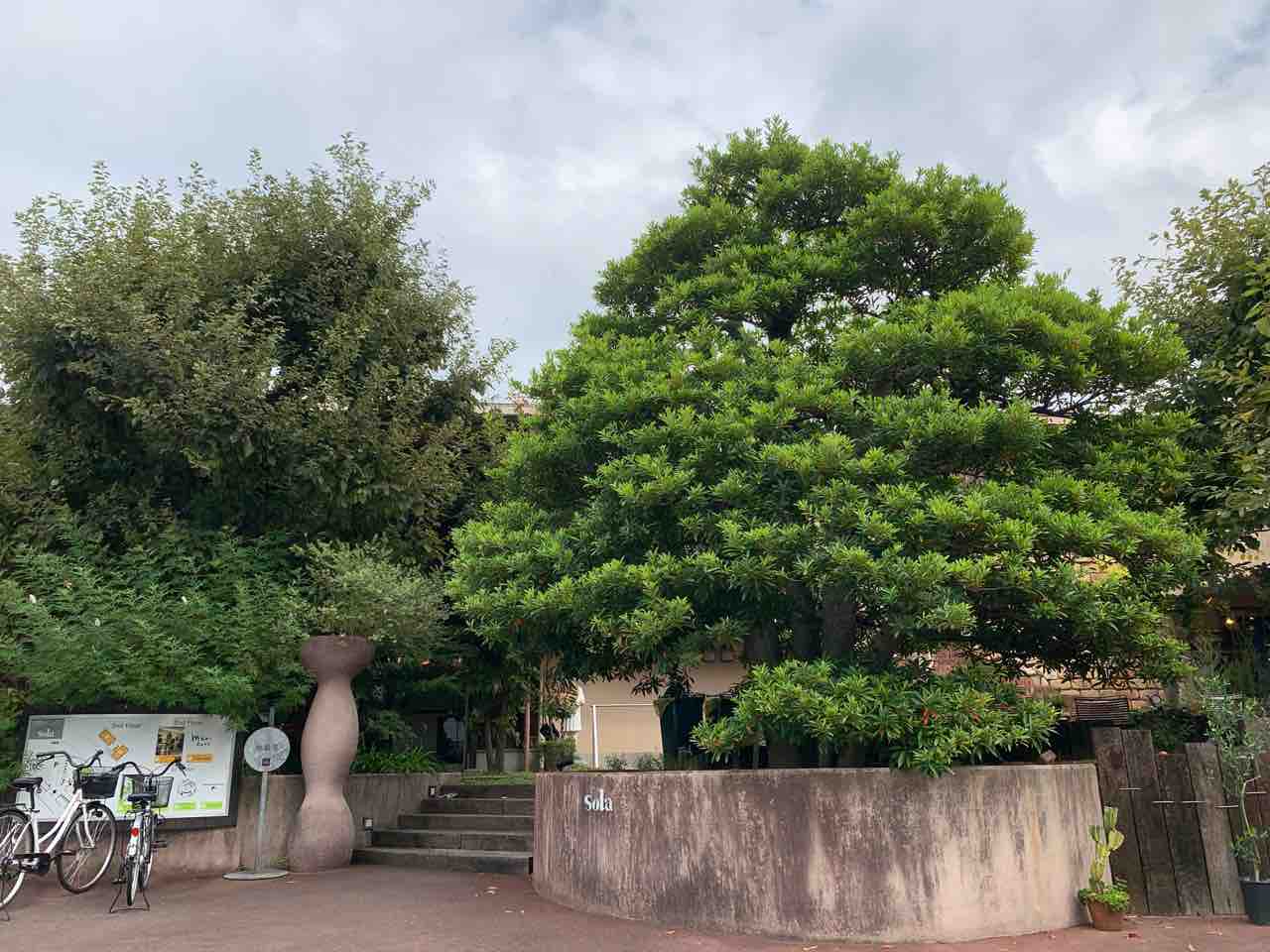 松山市祝谷 Mori Cafe祝谷店 のランチは開店と同時に満席になる人気店です 中予 愛媛 つーしん 松山市祝谷 Mori Cafe祝谷店 のランチは開店と同時に満席になる人気店です 中予 愛媛 つーしん