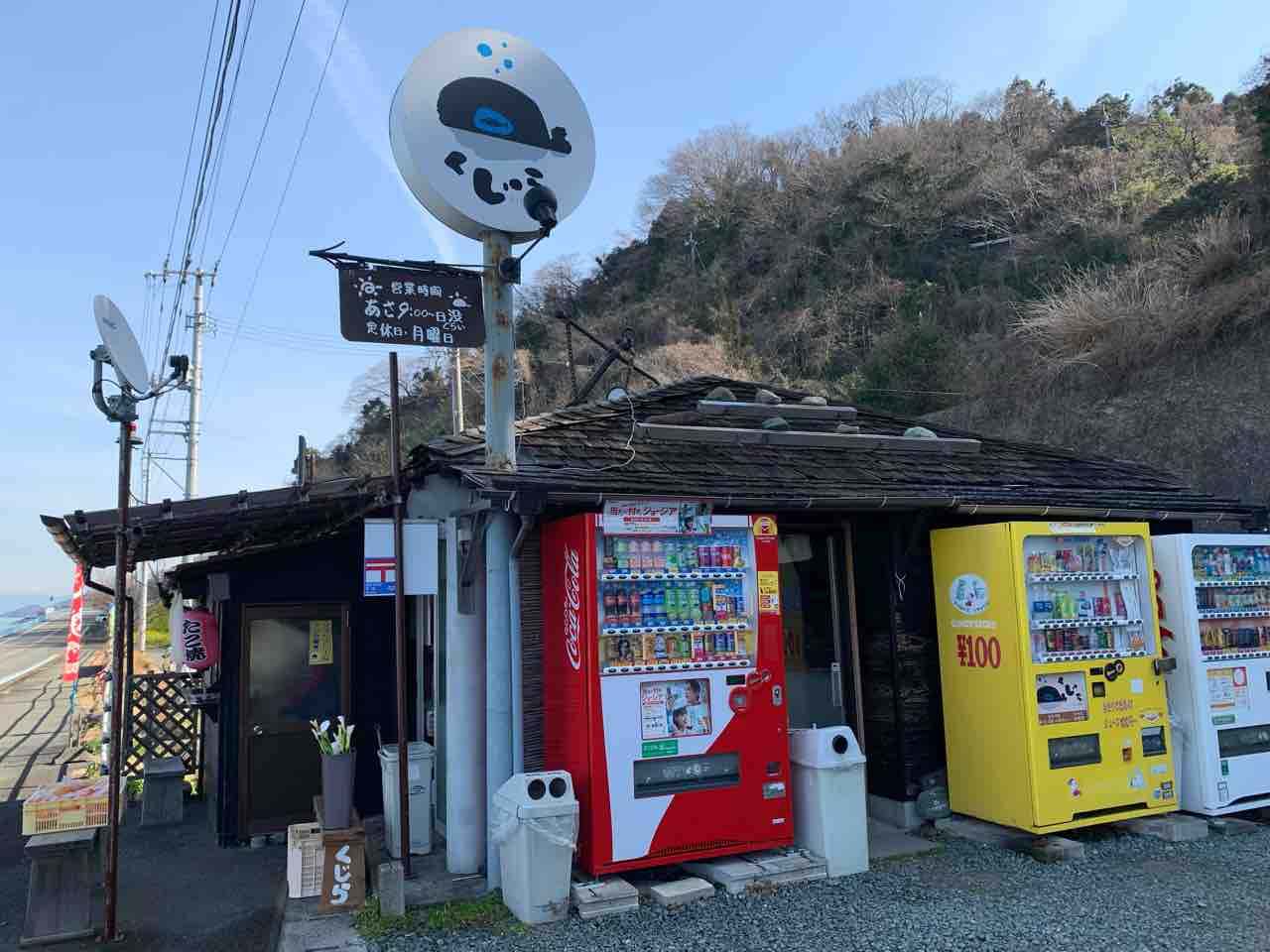 花便り 春の訪れはすぐそこまでー双海町の線路土手一面に 菜の花 が咲き始めました 中予 愛媛 つーしん