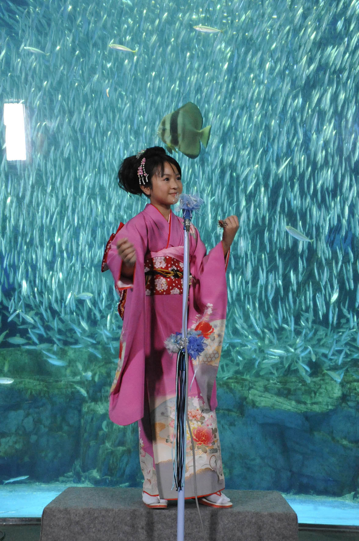 最年少演歌歌手さくらまやちゃんが 大漁 オーシャン まつり 熱唱 Oceansthemovieのブログ