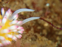 P7220035