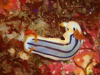 P6120057