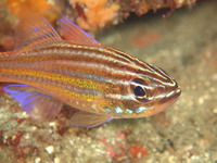 P7220016