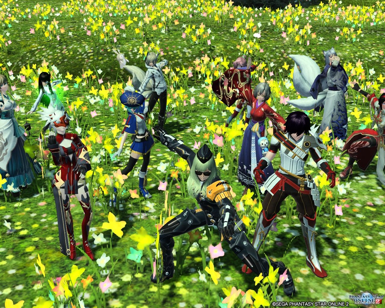 16年11月 Pso2チーム ぐるぐる温泉 お茶犬みどりのブログ