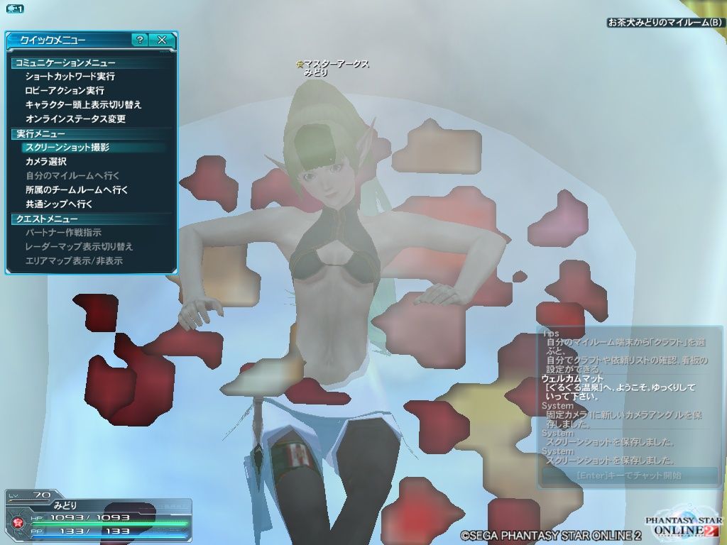 アークスビンゴカード裏に突入 Pso2チーム ぐるぐる温泉 お茶犬みどりのブログ