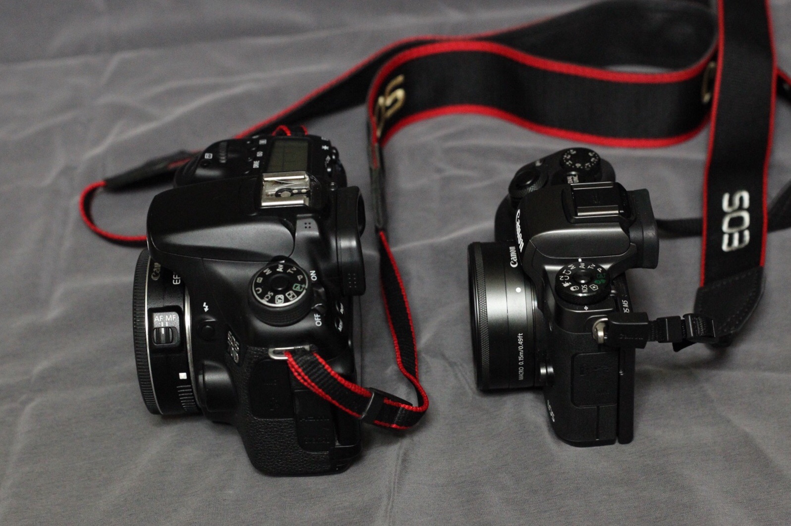 後編】EOS M5とEF-M 22/2を買った。【いまさらレビュー 後編】EOS M5とEF-M 22/2を買った。【いまさらレビュー