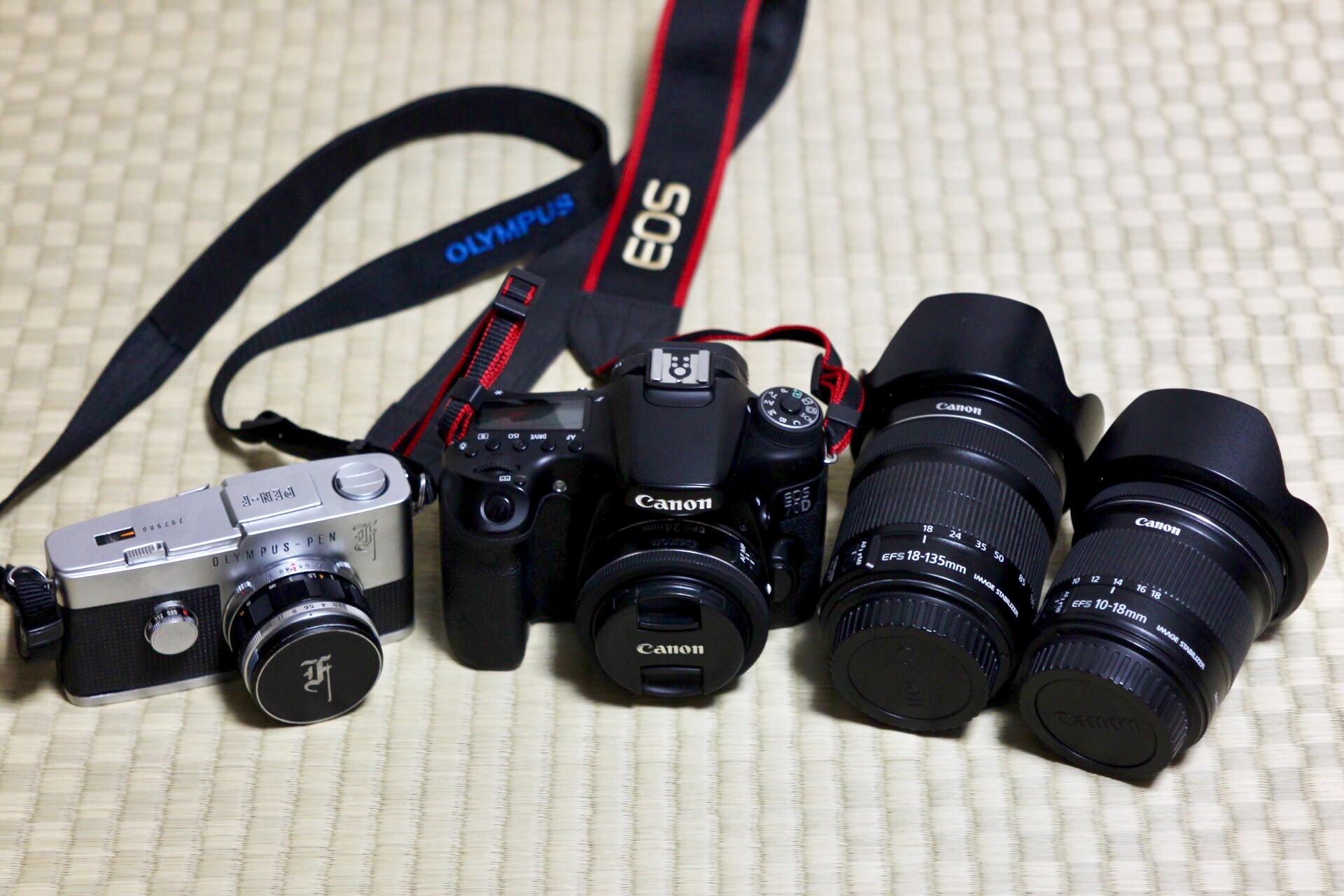 僕とCONTAX T【小さいは正義だけど】 : Ochan Photolog 僕とCONTAX T【小さいは正義だけど】 : Ochan Photolog