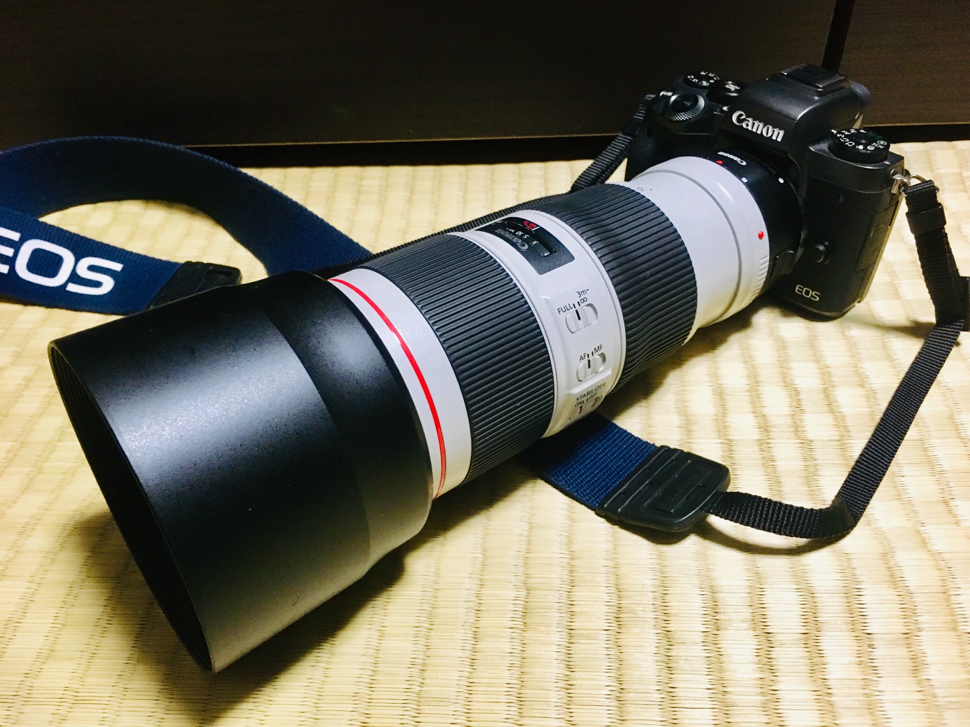 Canon EF70-200mm F4L is USM キヤノン-