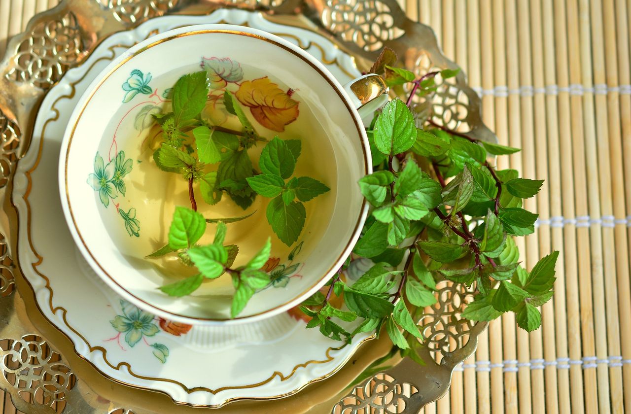 花粉の時期の強い味方 ミントティー の効能とおすすめの飲み方 Ochasukyのお茶図鑑 花粉の時期の強い味方 ミントティー の効能とおすすめの飲み方 Ochasukyのお茶図鑑