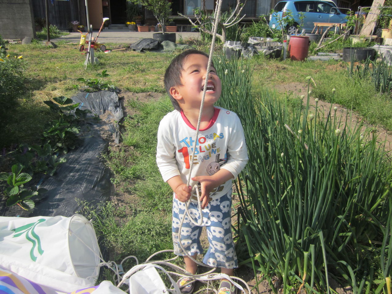 こいのぼり 片付け 落合ブルーベリー園のblog