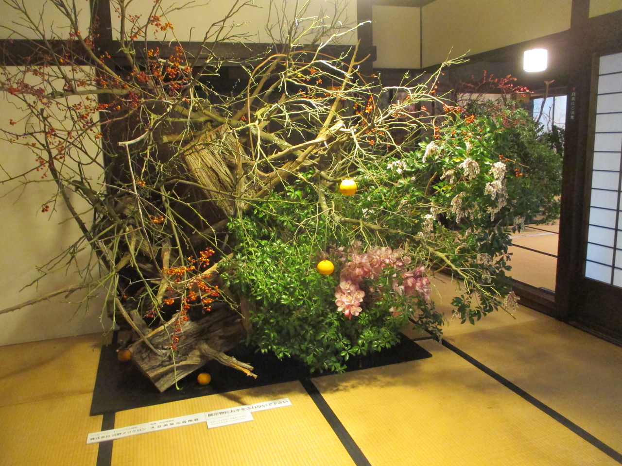 うだつをいける 仮屋崎省吾 脇町で生け花展をみる 落合ブルーベリー園のblog うだつをいける 仮屋崎省吾 脇町で生け花展をみる 落合ブルーベリー園のblog