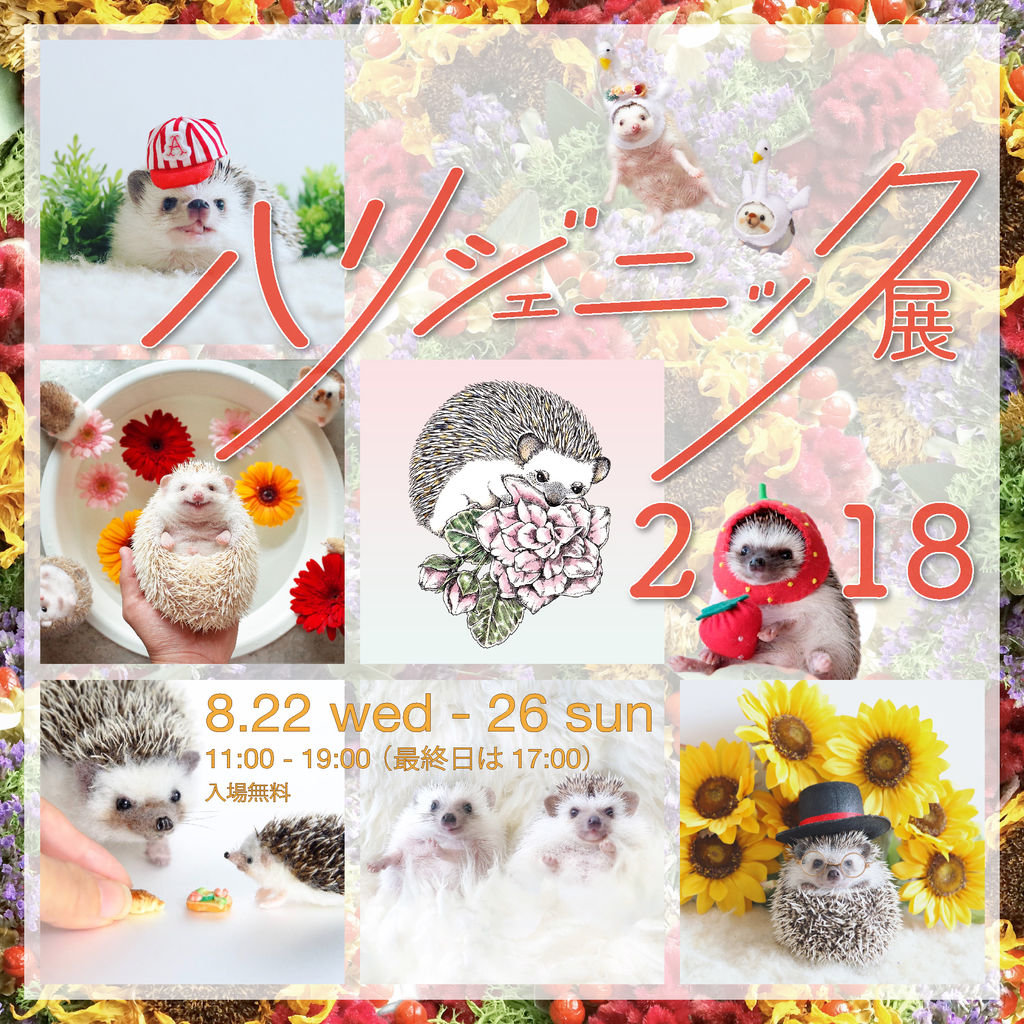 ハリネズミの魅力いっぱいの写真とグッズの祭典 ハリジェニック展18 が開催 8 22から26 落穂log ハリネズミの魅力いっぱいの写真とグッズの祭典 ハリジェニック展18 が開催 8 22から26 落穂log